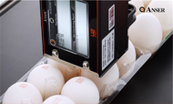 Plastic Bottle Printer